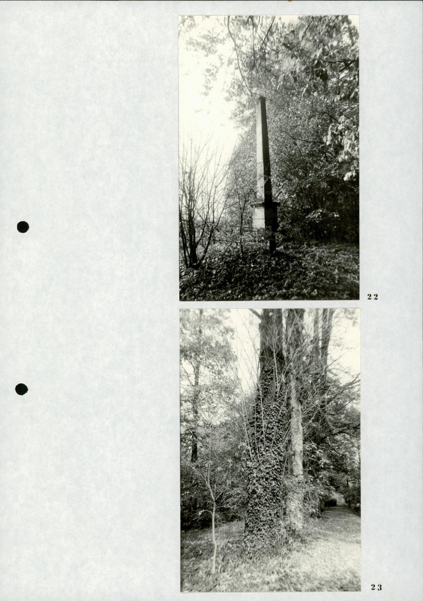 Ewidencja parkowa, skan nr 29