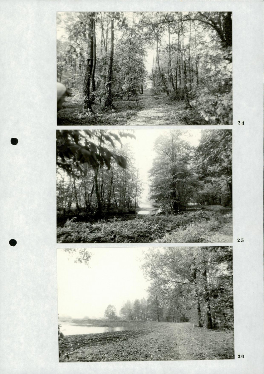 Ewidencja parkowa, skan nr 30