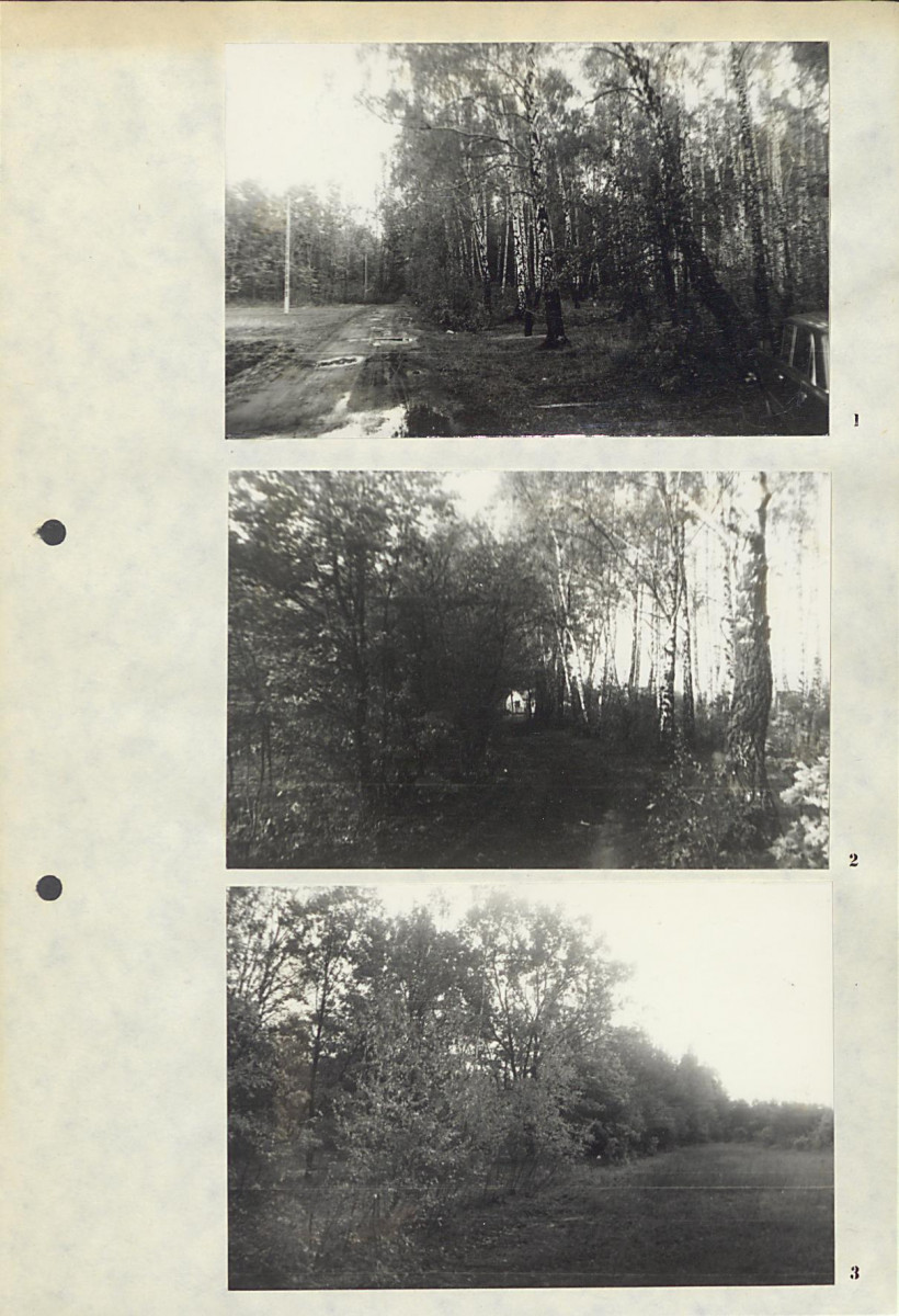 Ewidencja parkowa, skan nr 16