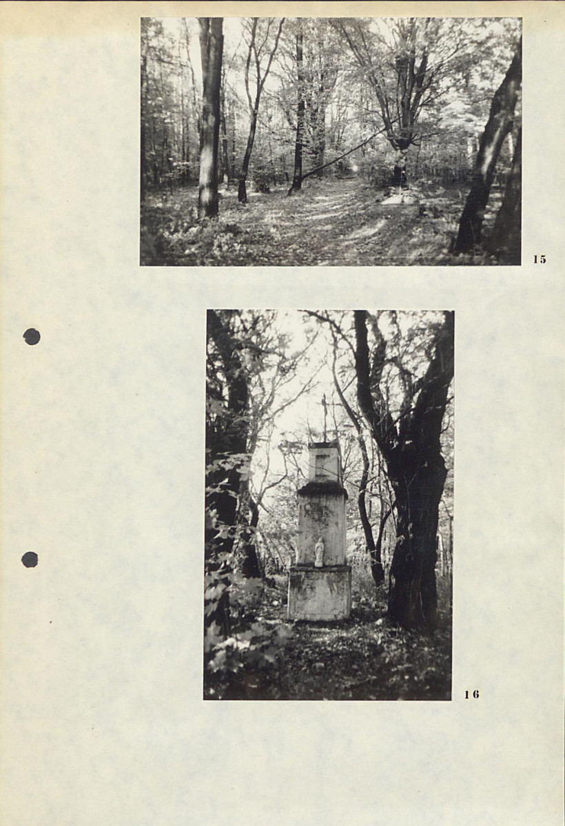 Ewidencja parkowa, skan nr 21