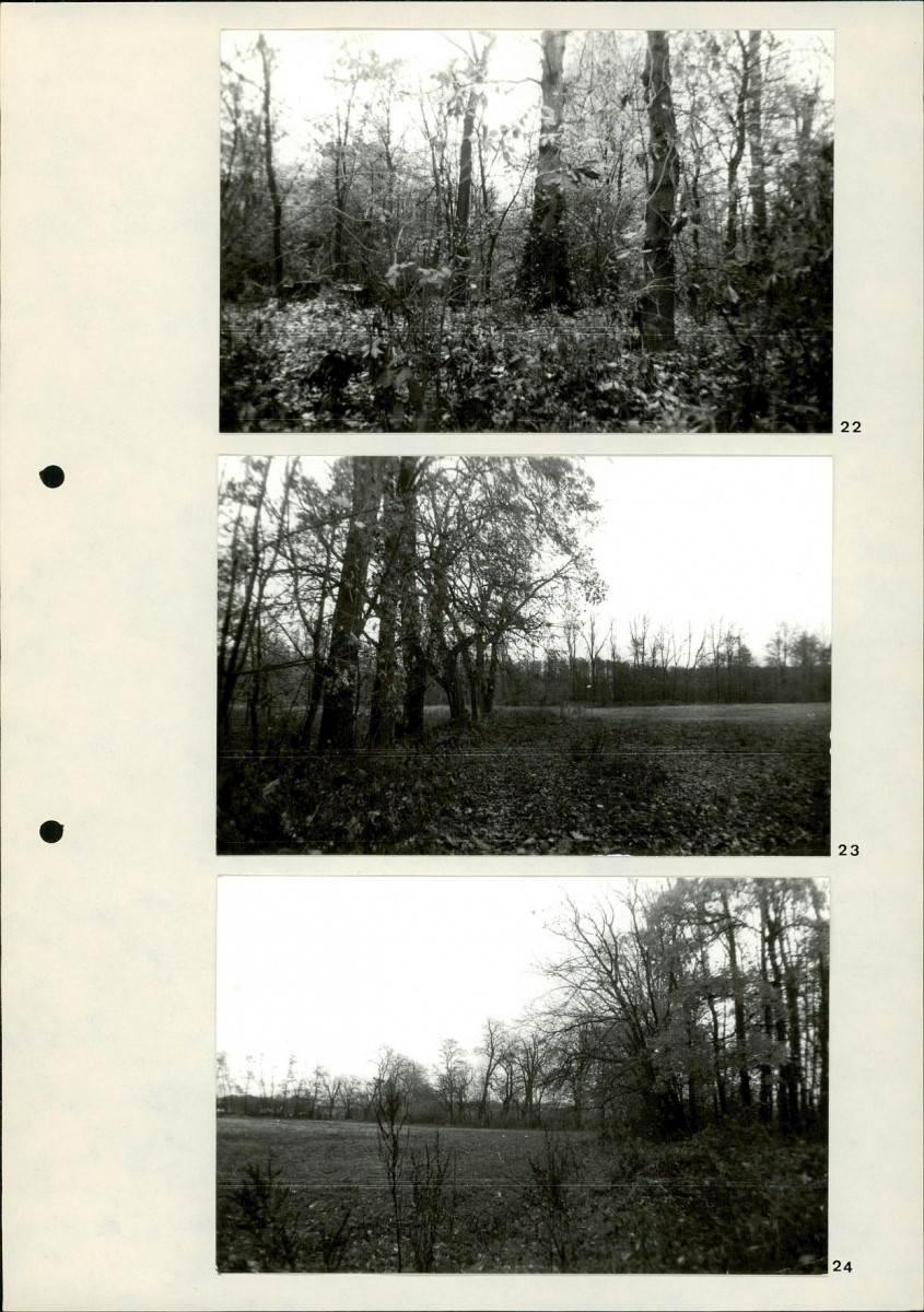 Ewidencja parkowa, skan nr 28