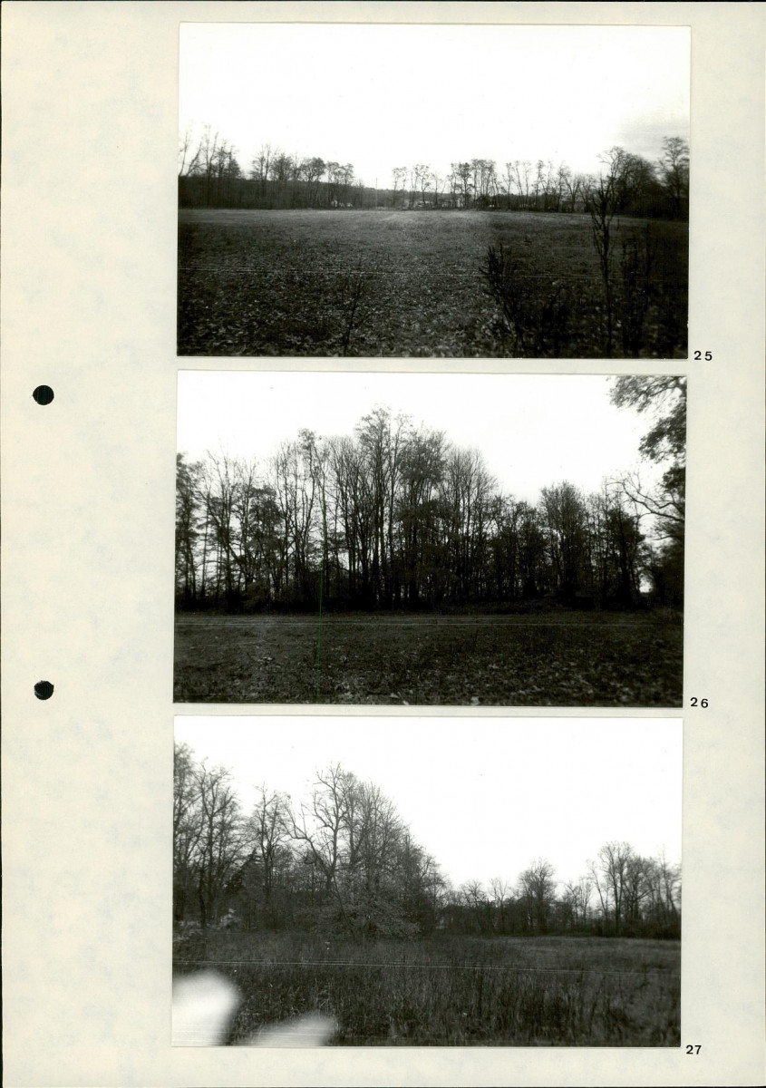 Ewidencja parkowa, skan nr 29