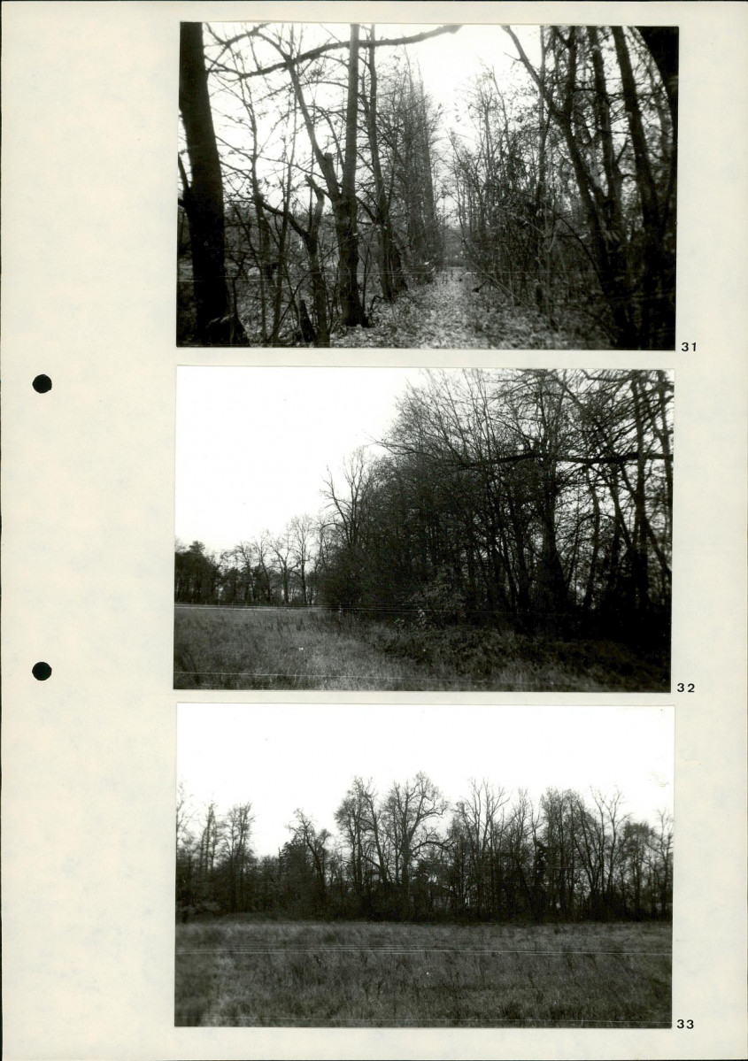 Ewidencja parkowa, skan nr 31