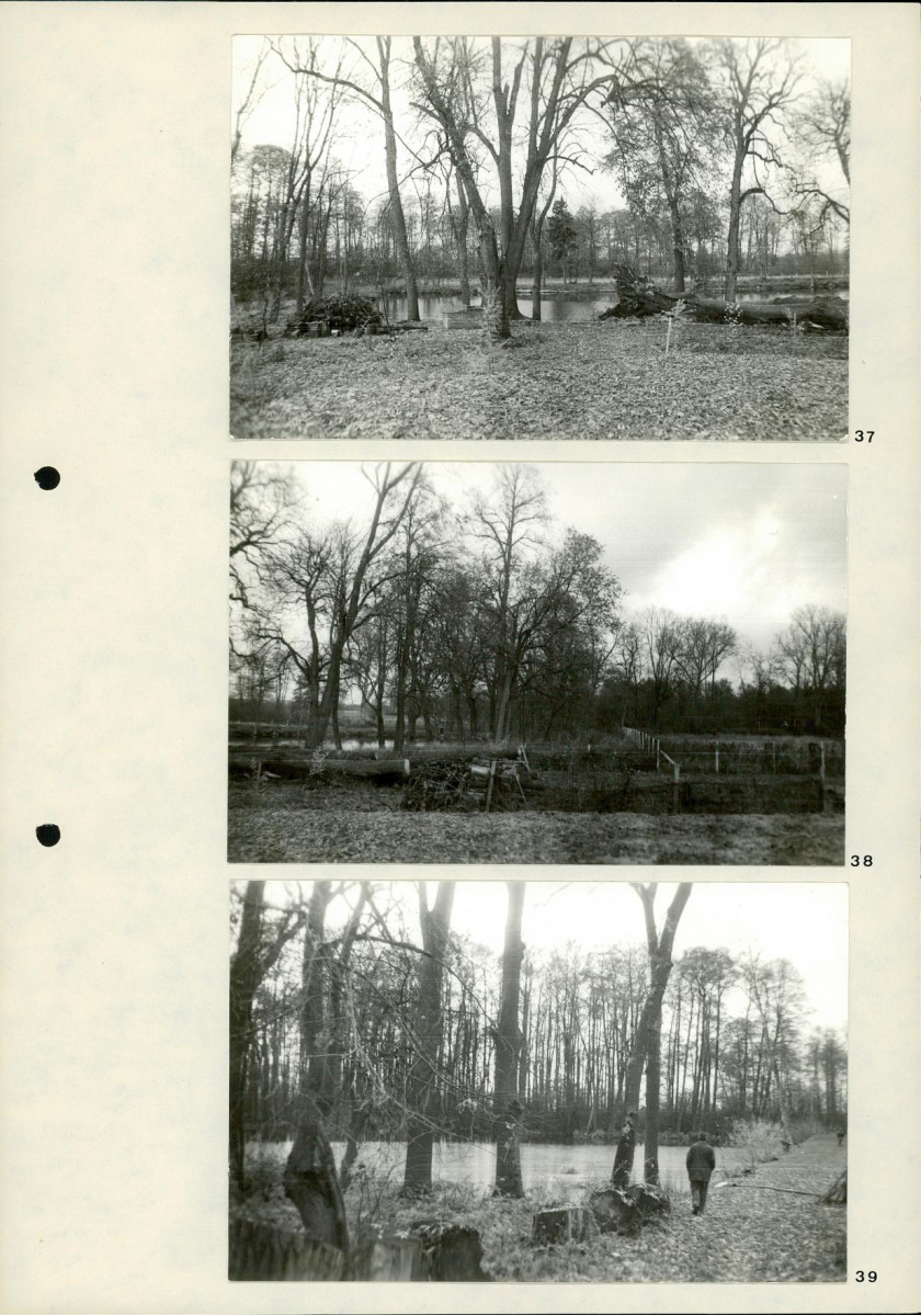 Ewidencja parkowa, skan nr 33