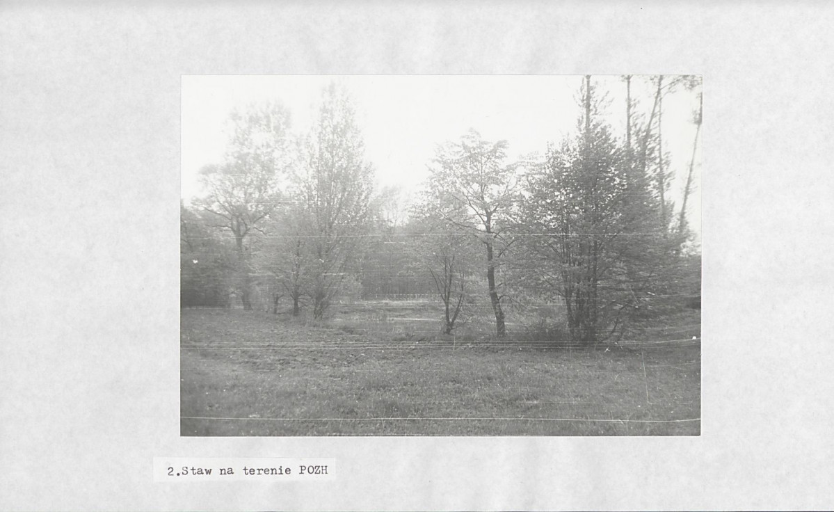Ewidencja parkowa, skan nr 19
