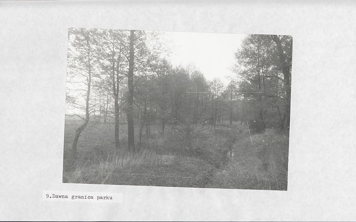 Ewidencja parkowa, skan nr 26