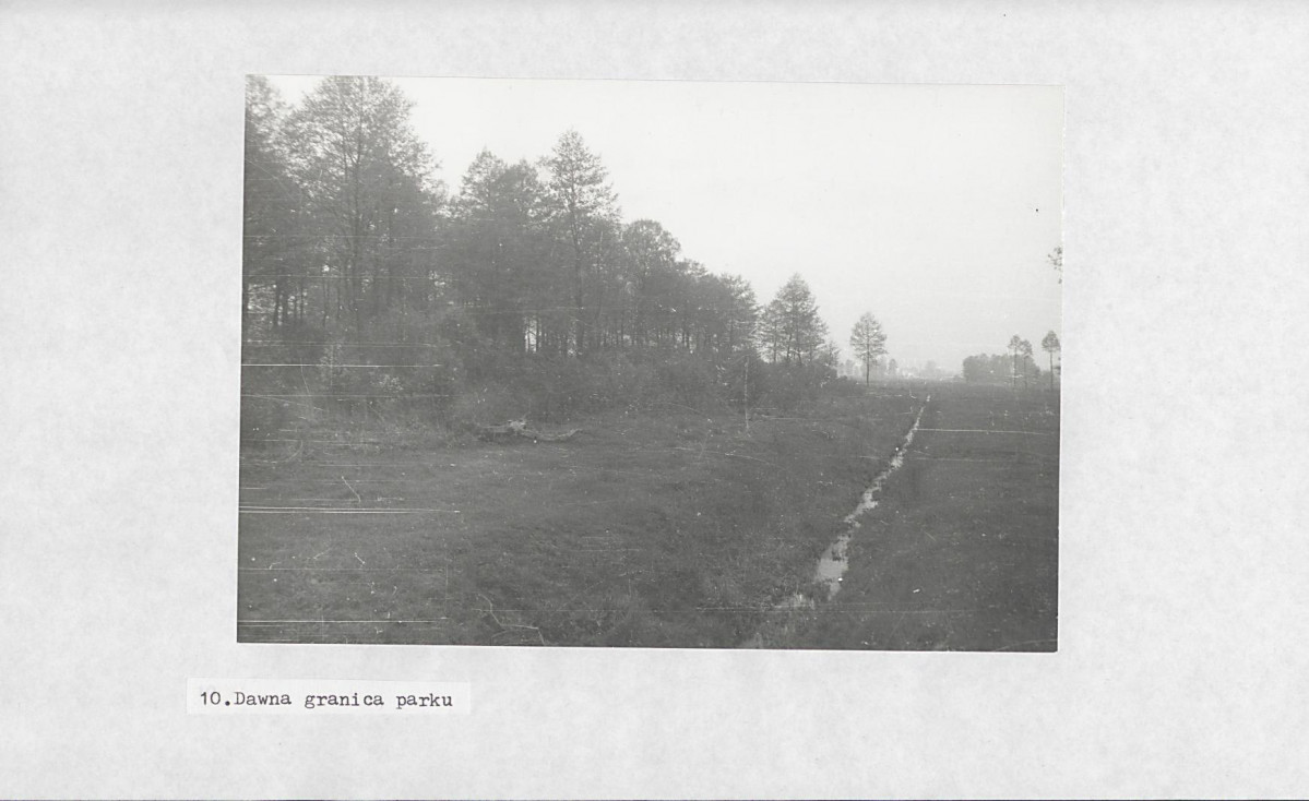Ewidencja parkowa, skan nr 27