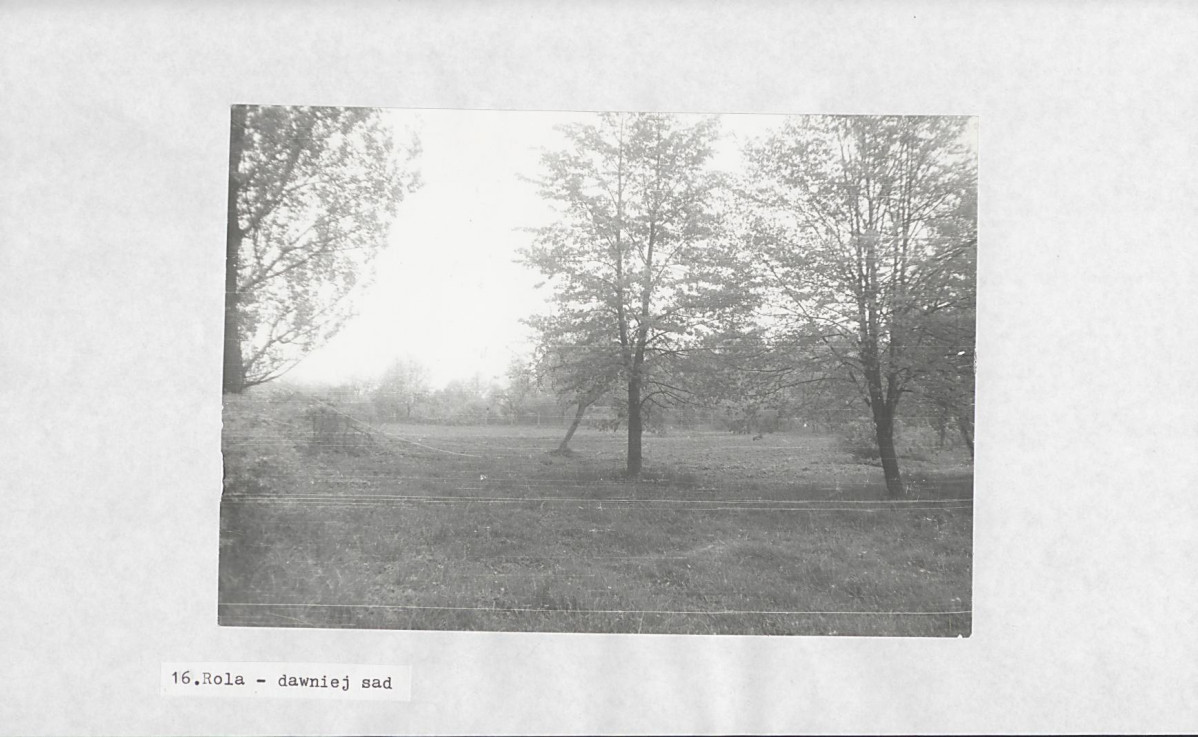 Ewidencja parkowa, skan nr 33
