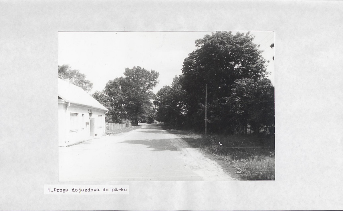 Ewidencja parkowa, skan nr 17