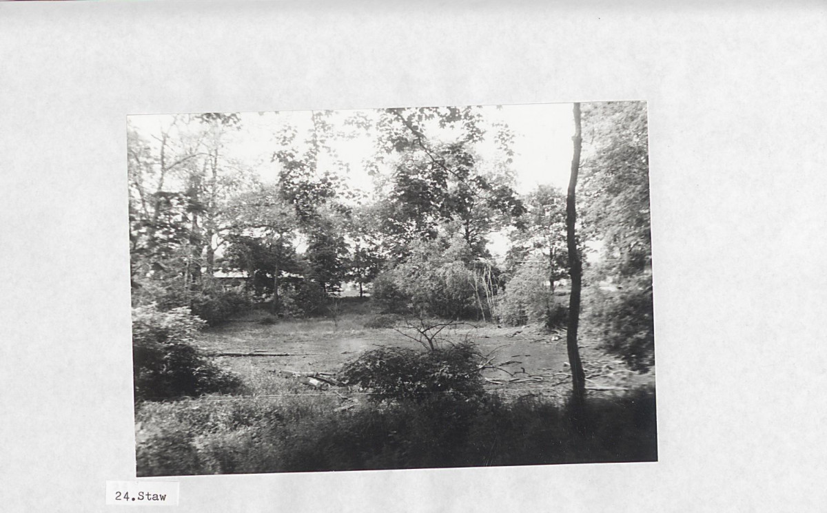 Ewidencja parkowa, skan nr 40