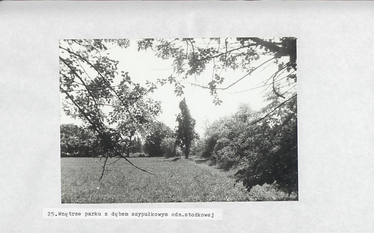 Ewidencja parkowa, skan nr 45