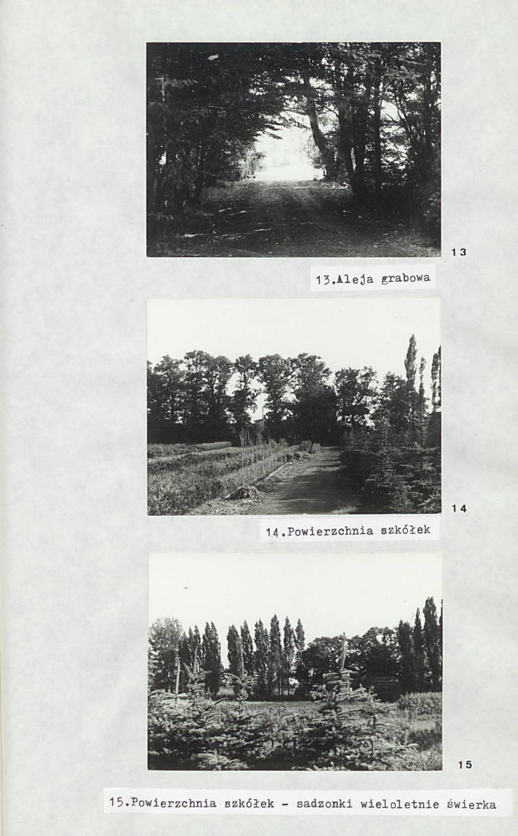 Ewidencja parkowa, skan nr 21