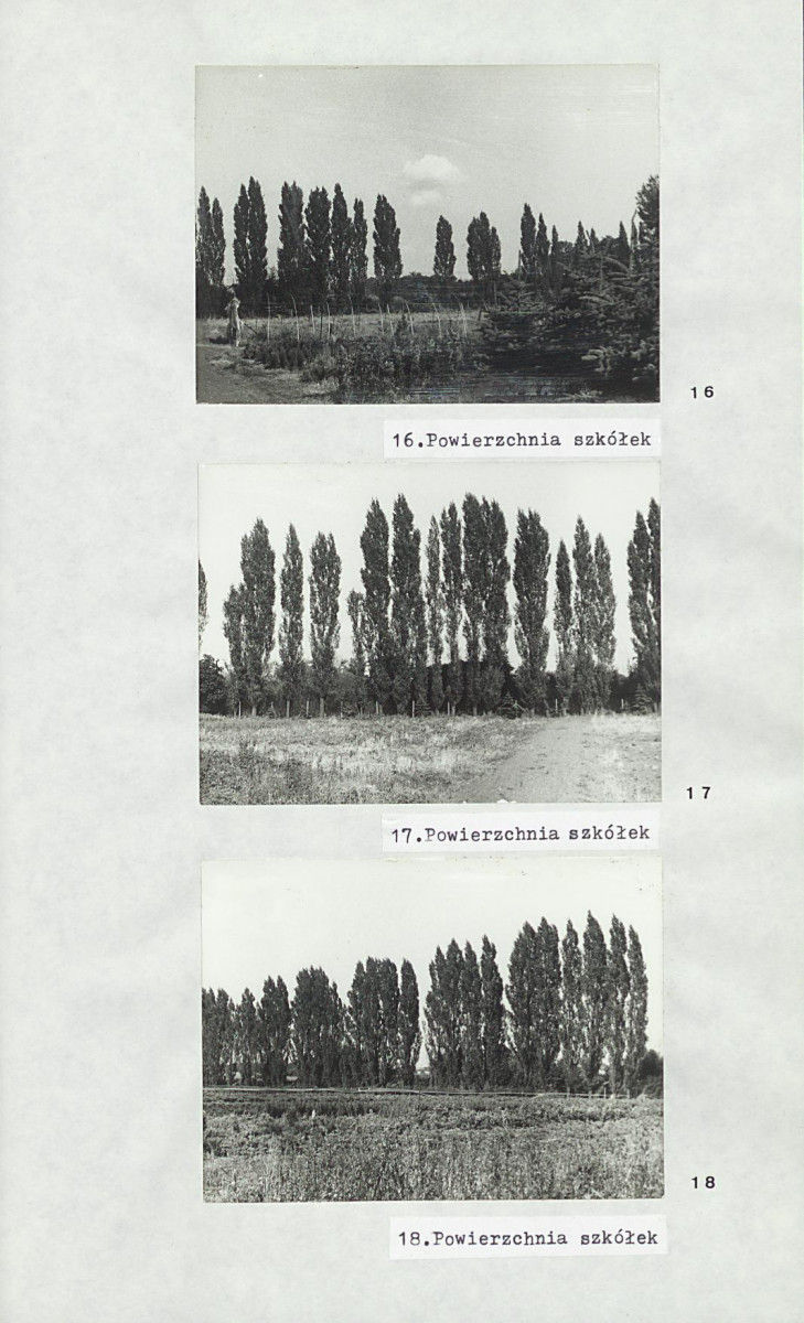 Ewidencja parkowa, skan nr 22
