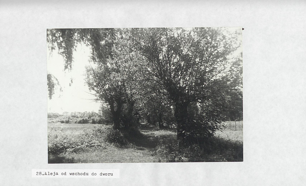 Ewidencja parkowa, skan nr 48