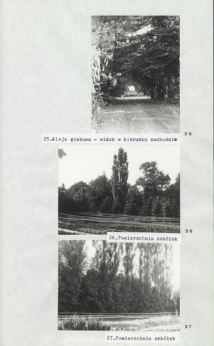 Ewidencja parkowa, skan nr 25