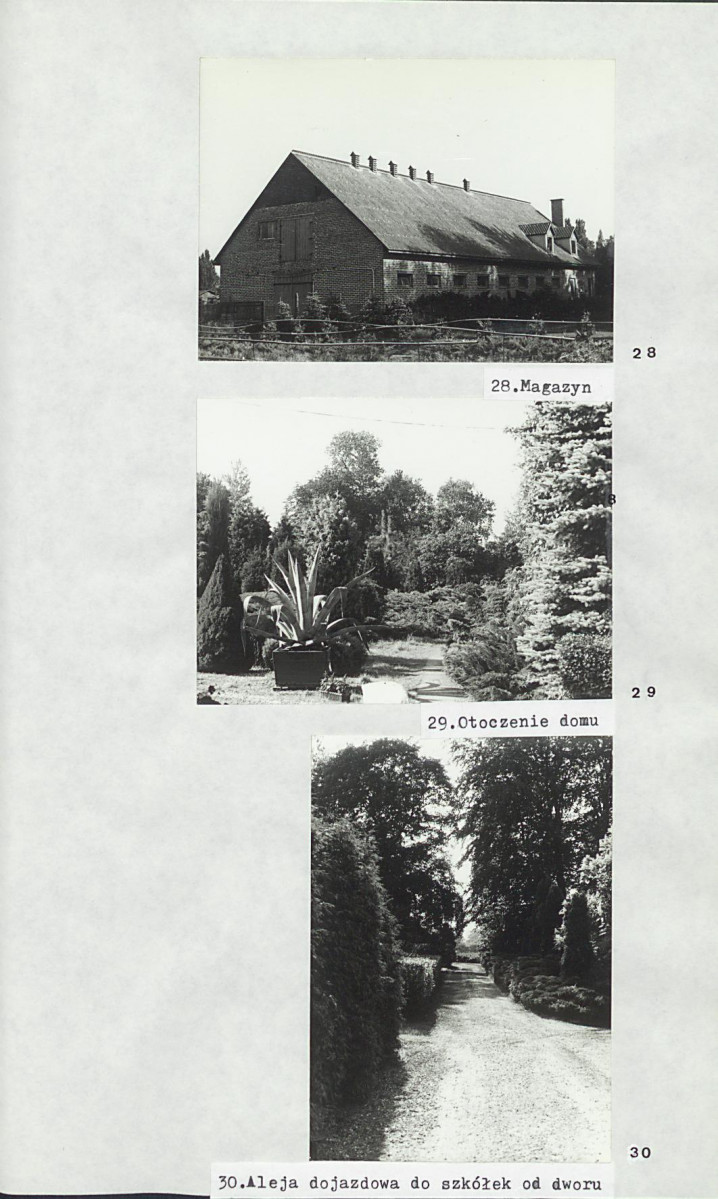 Ewidencja parkowa, skan nr 26