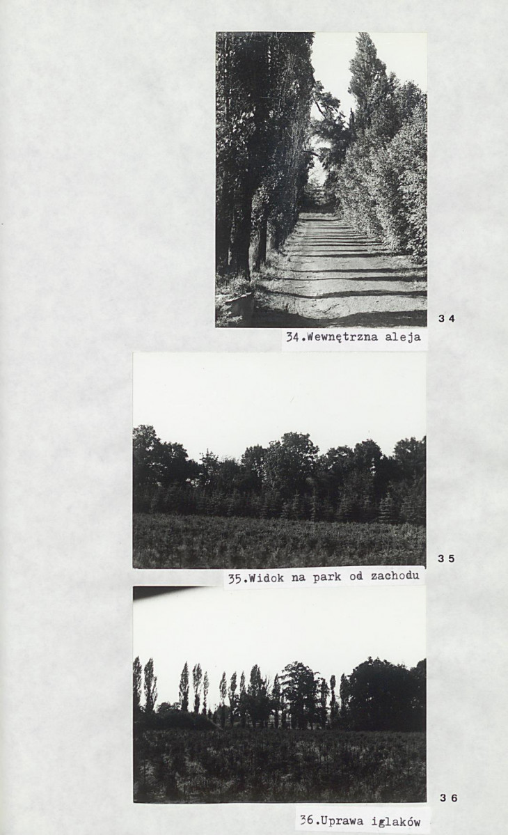 Ewidencja parkowa, skan nr 28