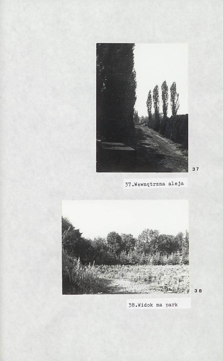 Ewidencja parkowa, skan nr 29