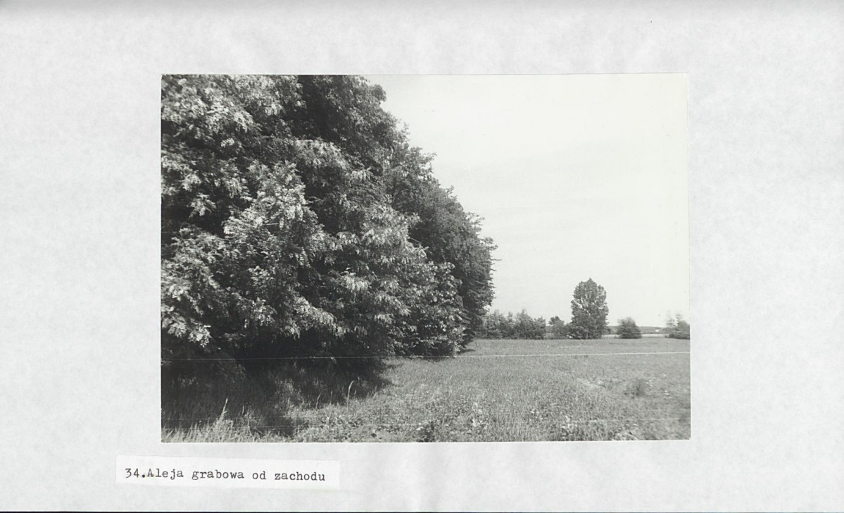 Ewidencja parkowa, skan nr 54