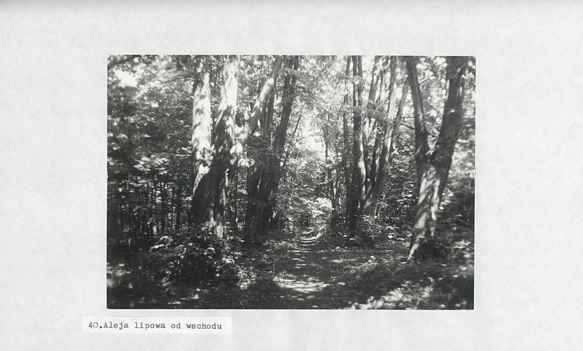 Ewidencja parkowa, skan nr 60