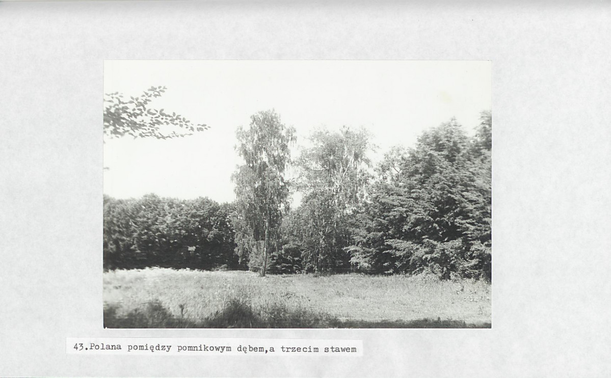 Ewidencja parkowa, skan nr 63