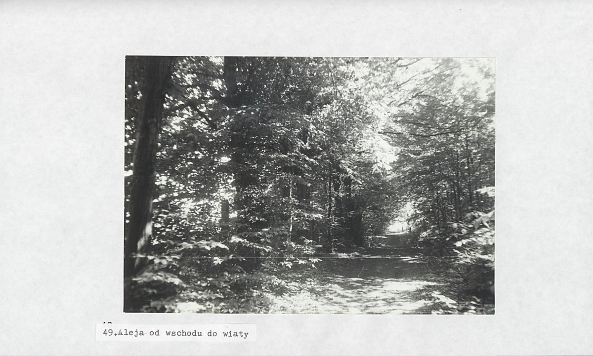 Ewidencja parkowa, skan nr 69