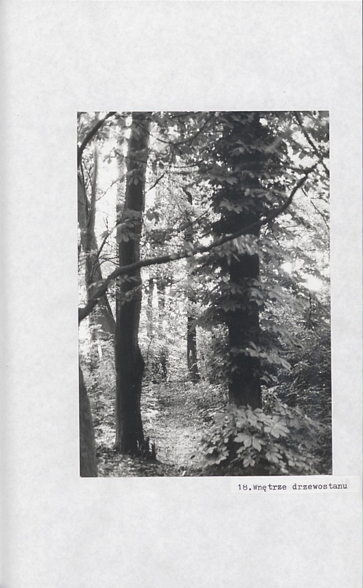 EP - Ewidencja parkowa, skan nr 34