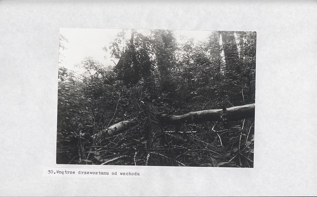 EP - Ewidencja parkowa, skan nr 46