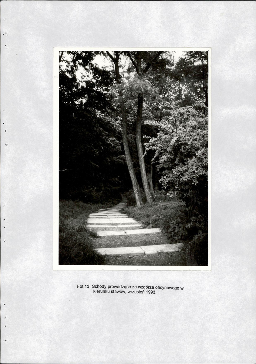 Ewidencja parkowa, skan nr 51
