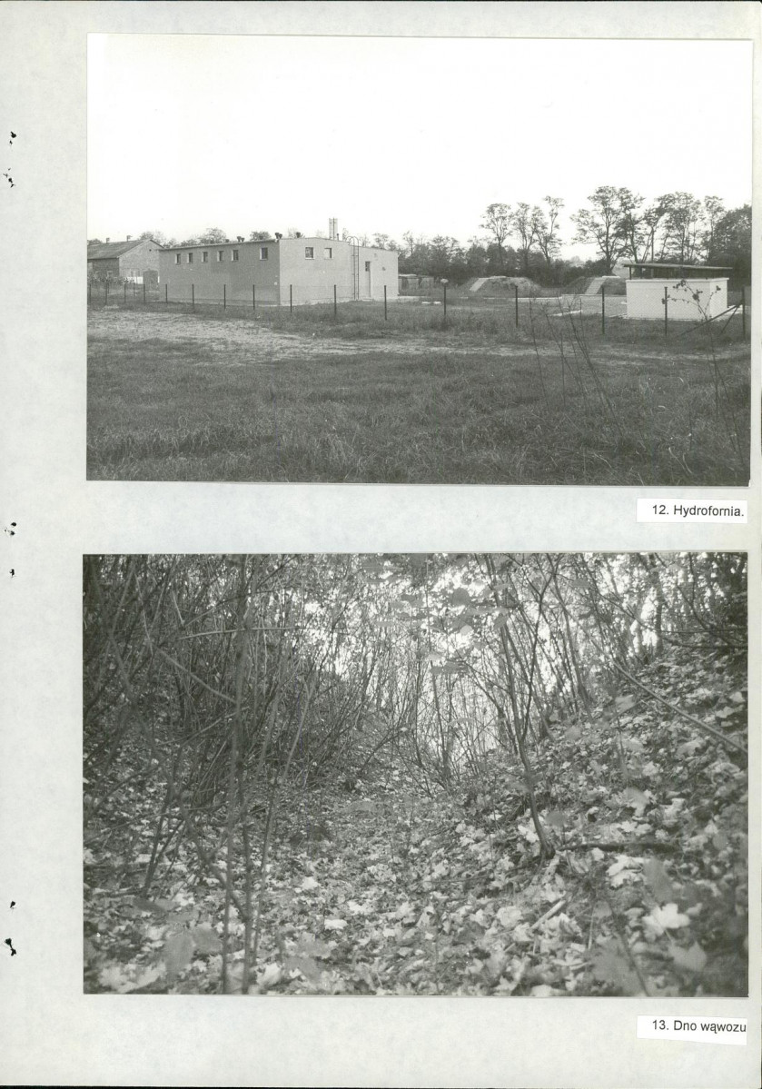 Ewidencja parkowa, skan nr 34