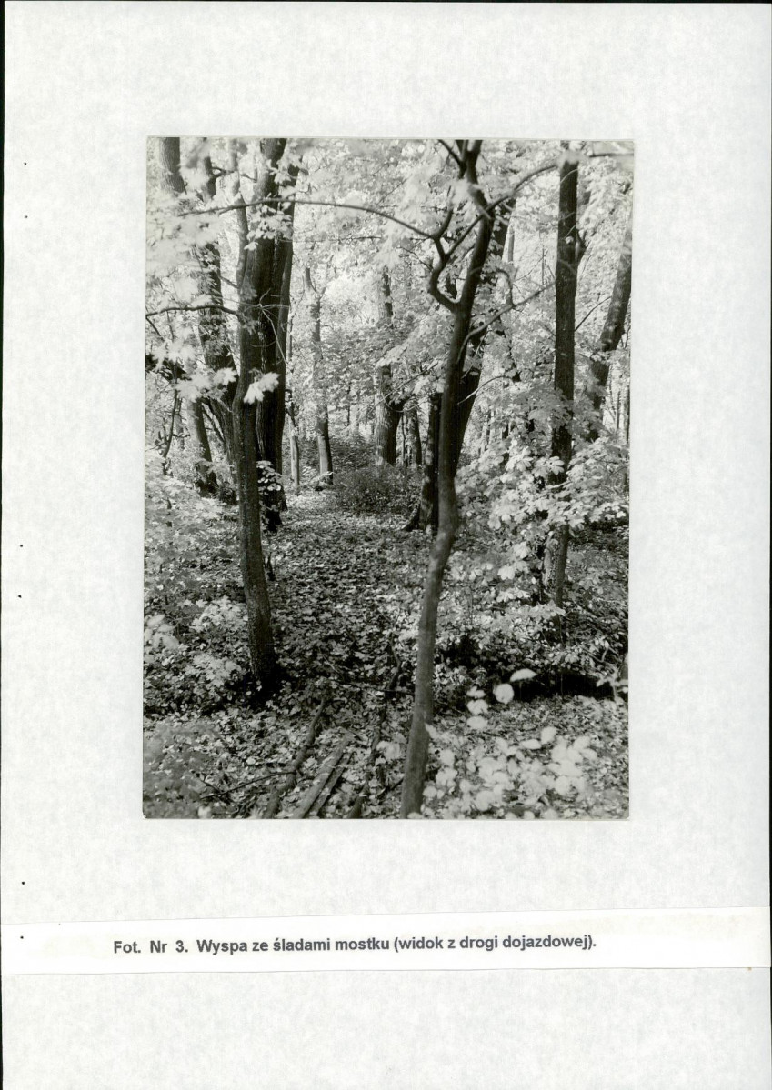 Ewidencja parkowa, skan nr 21
