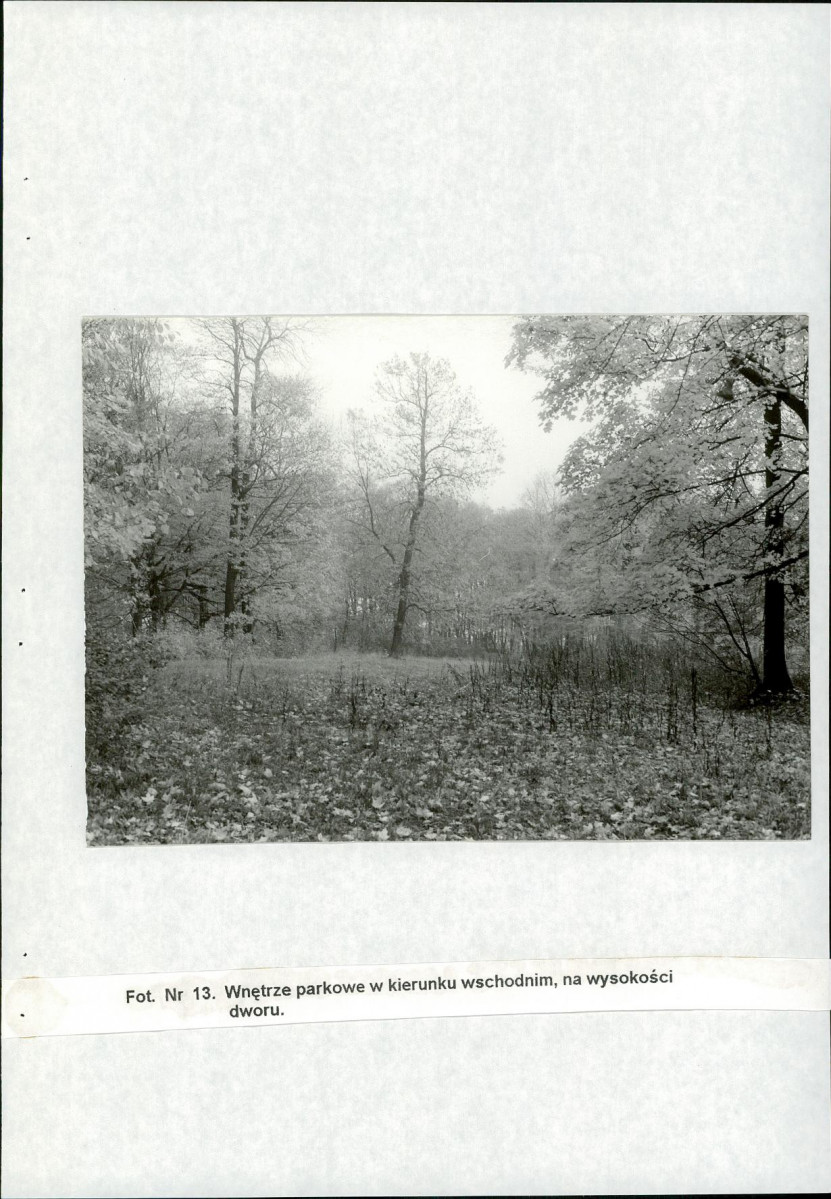 Ewidencja parkowa, skan nr 31