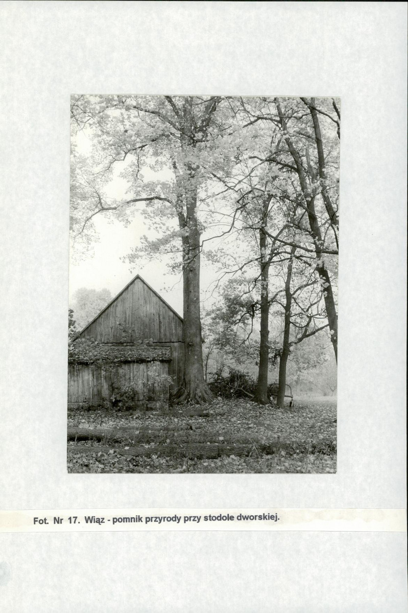 Ewidencja parkowa, skan nr 35