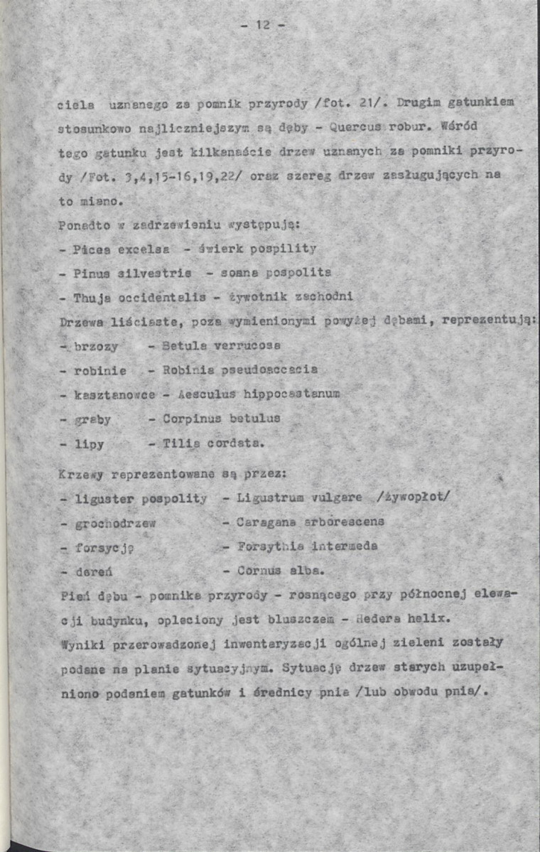 Ewidencja parkowa, skan nr 17