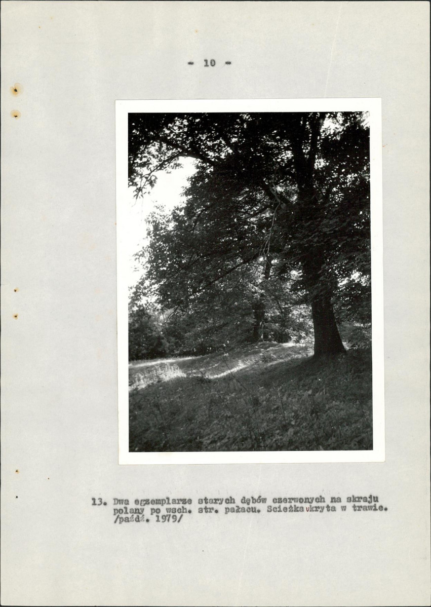 Ewidencja parkowa, skan nr 48