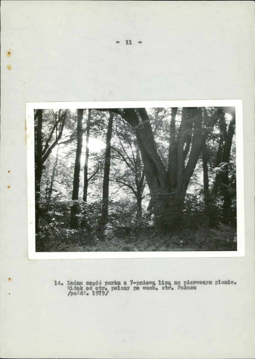 Ewidencja parkowa, skan nr 49