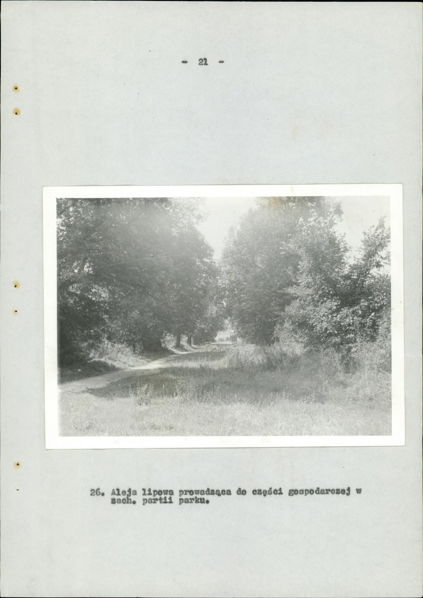 Ewidencja parkowa, skan nr 59