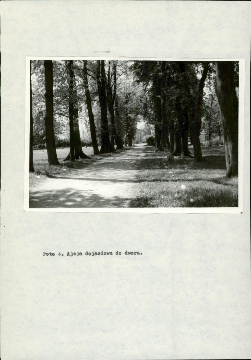 Ewidencja parkowa, skan nr 23