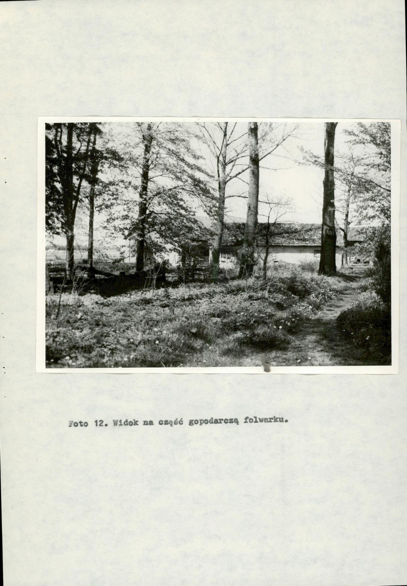 Ewidencja parkowa, skan nr 31