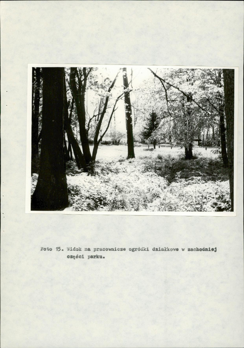 Ewidencja parkowa, skan nr 34