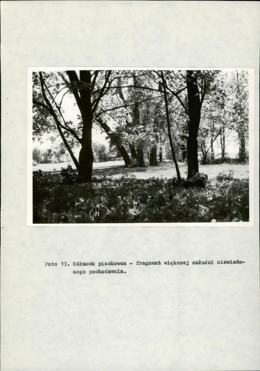 Ewidencja parkowa, skan nr 36