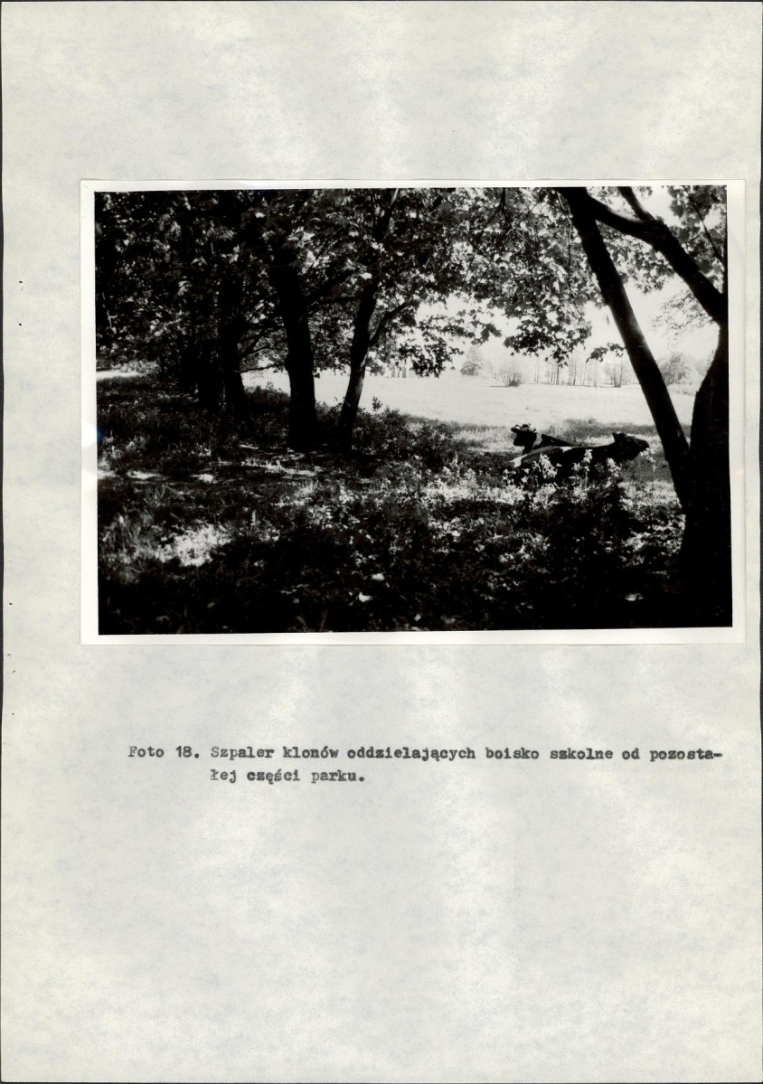 Ewidencja parkowa, skan nr 37