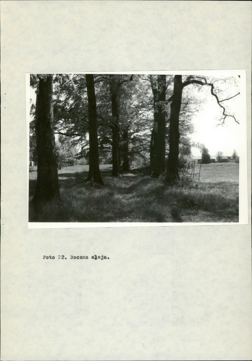 Ewidencja parkowa, skan nr 41