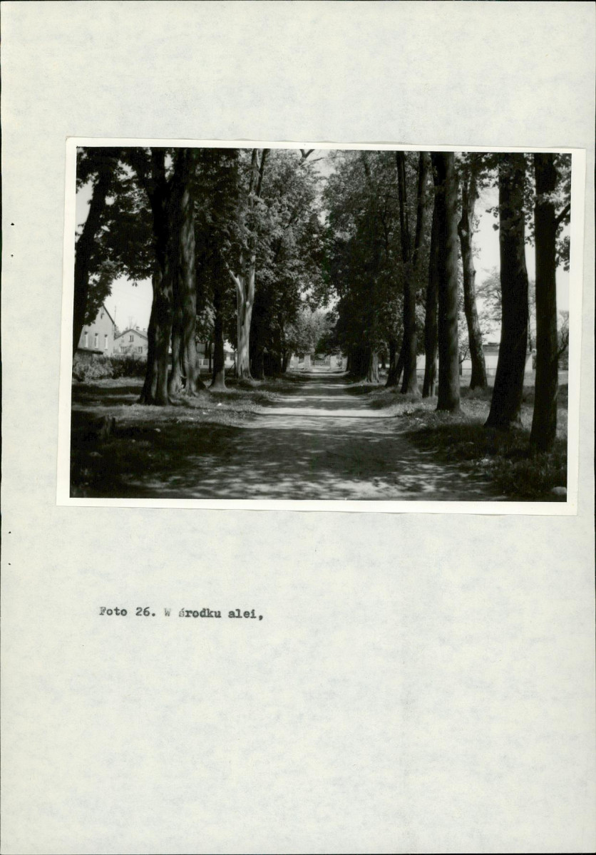 Ewidencja parkowa, skan nr 45