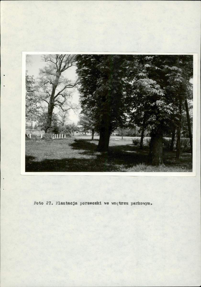 Ewidencja parkowa, skan nr 46