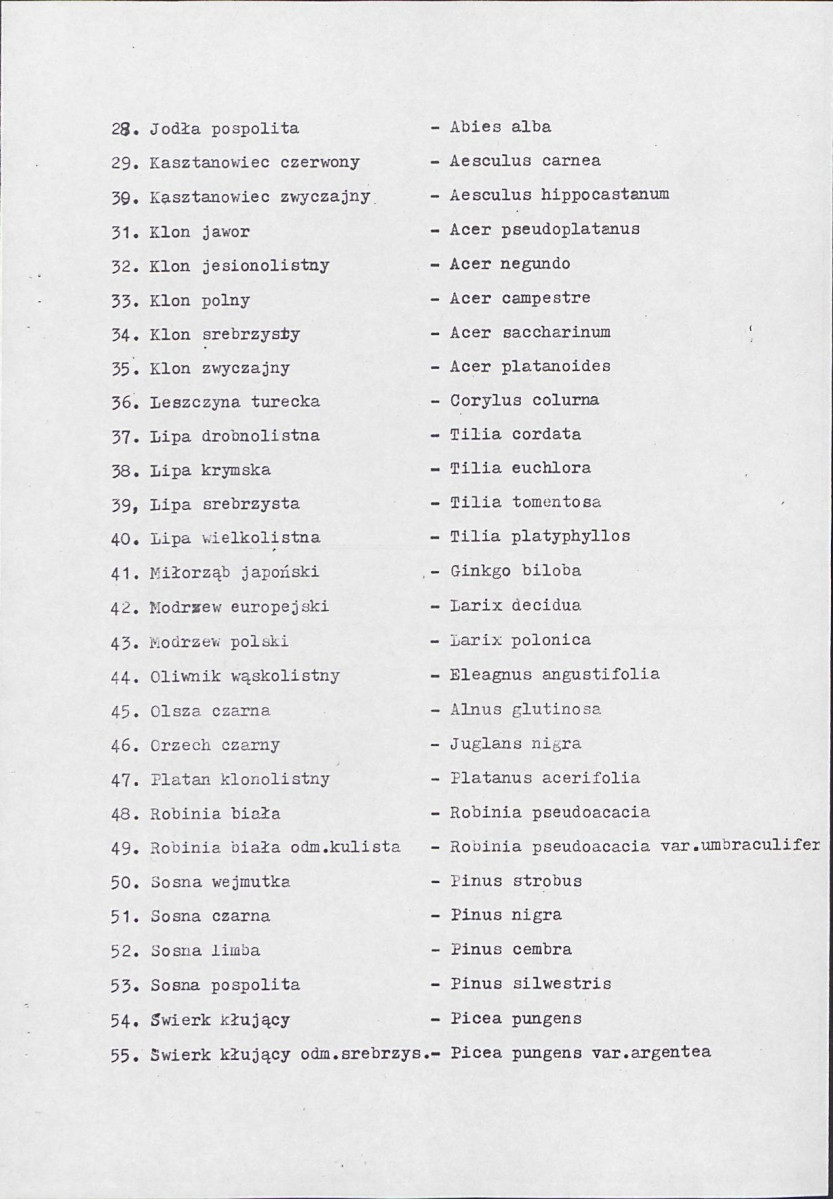 Ewidencja parkowa, skan nr 22