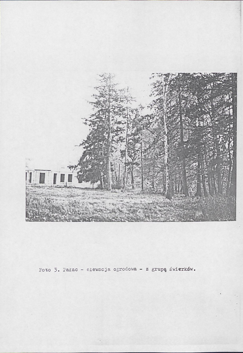Ewidencja parkowa, skan nr 25