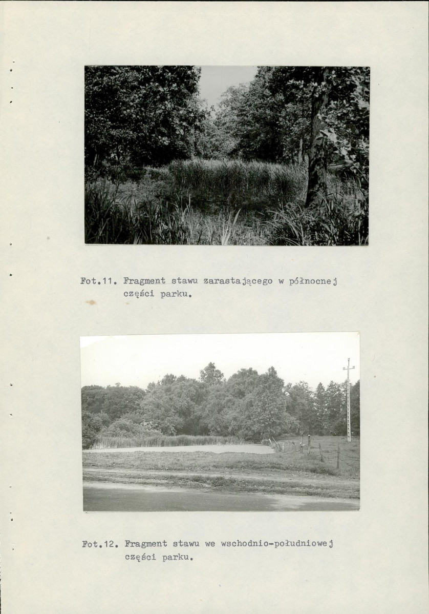 Ewidencja parkowa, skan nr 46