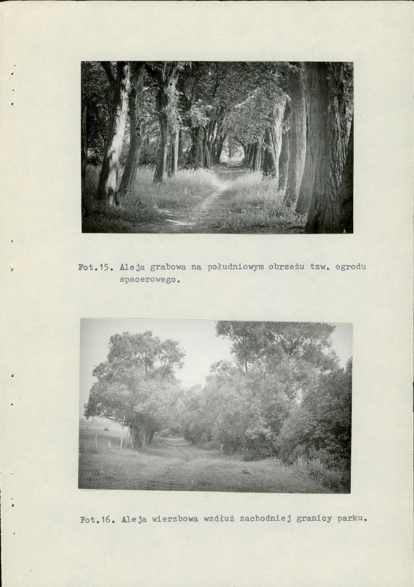 Ewidencja parkowa, skan nr 48
