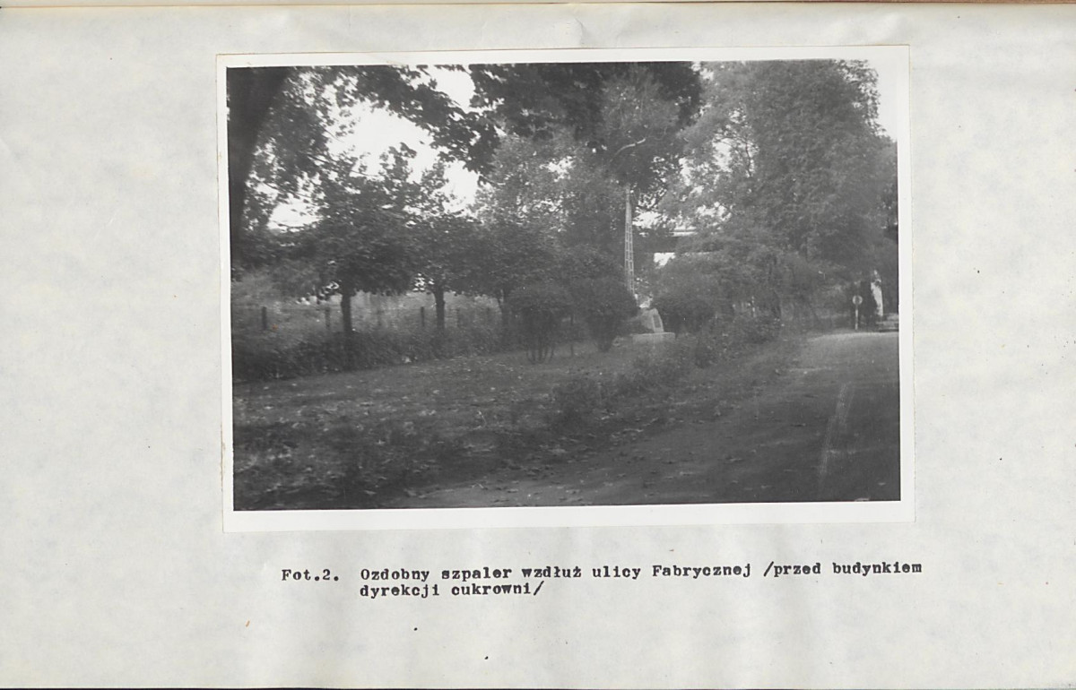 EP - Ewidencja parkowa, skan nr 26